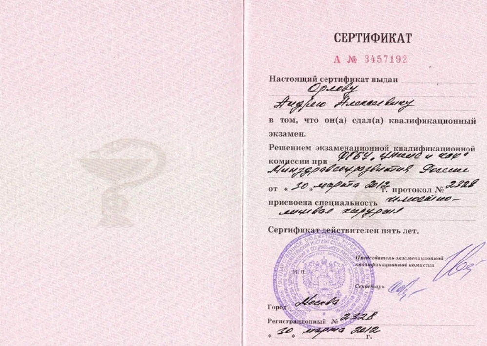 Диплом Орлова 