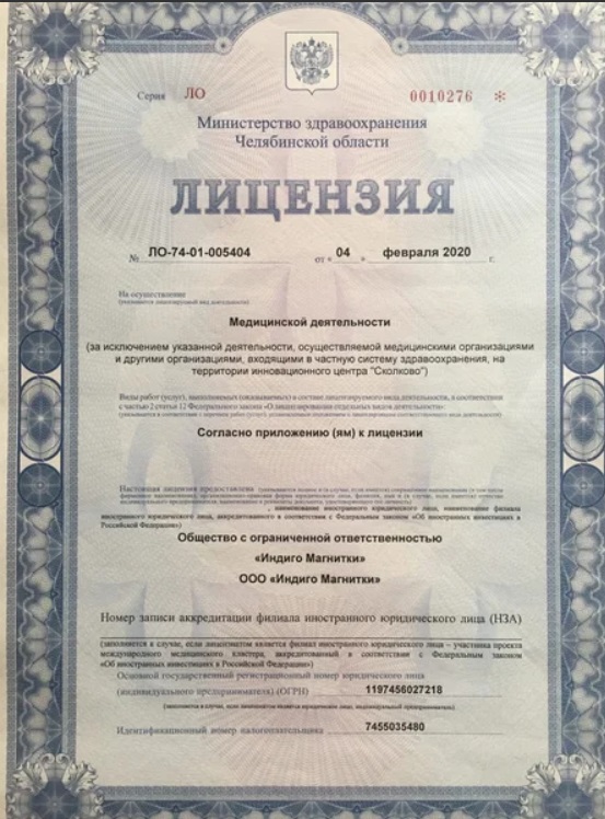 Лицензия Индиго Магнитки