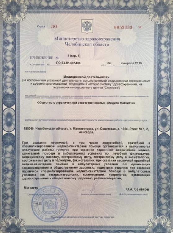 Лицензия Индиго Магнитки