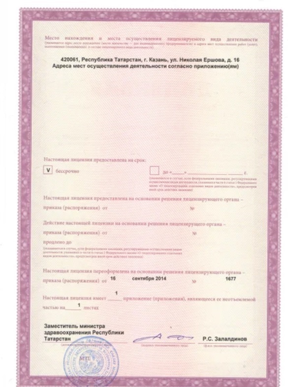 Лицензия Альтер Эго