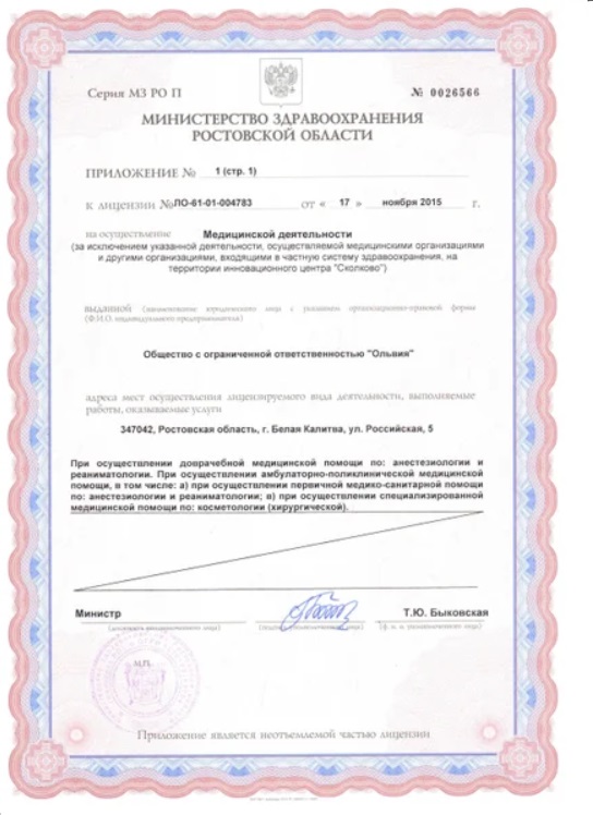 Лицензия Ольвия