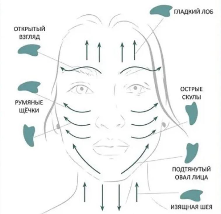 Массажные линии на лице