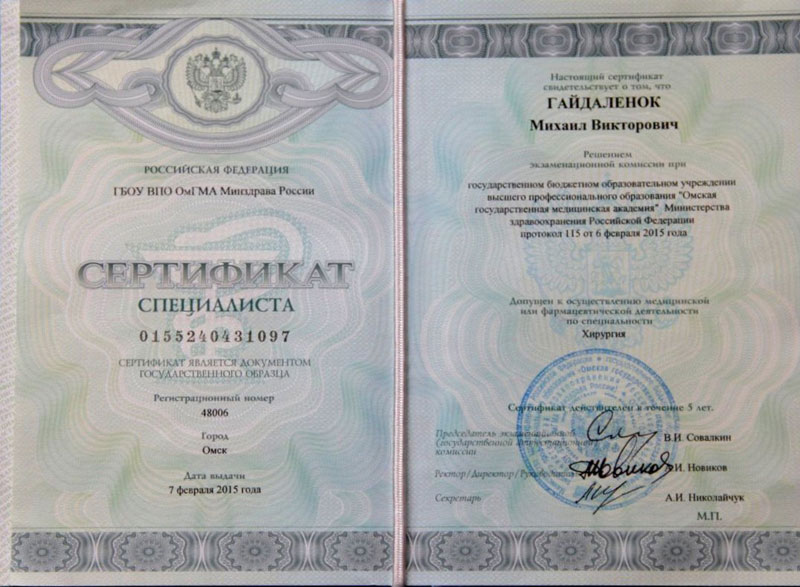 Документы Гайдаленок Михаила 