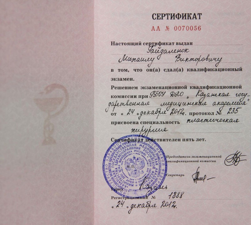 Документы Гайдаленок Михаила 