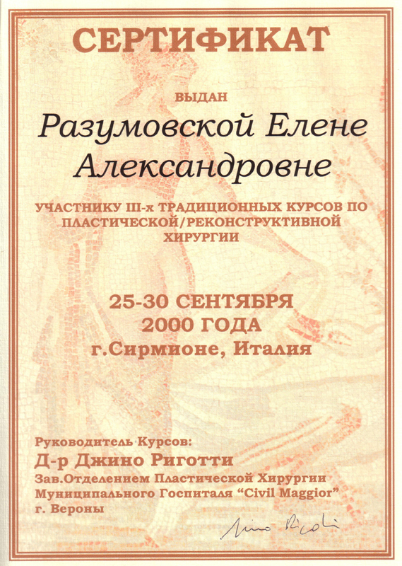 Диплом Разумовской Елены Александровной