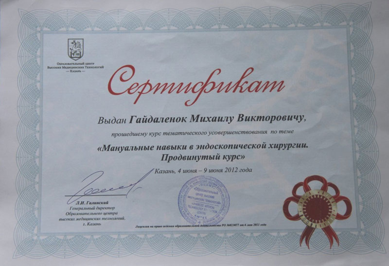Документы Гайдаленок Михаила