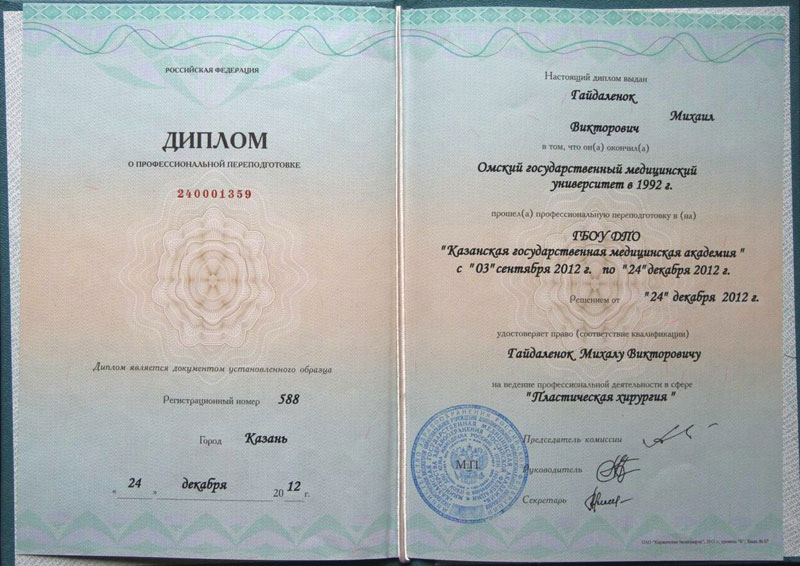 Документы Гайдаленок Михаила