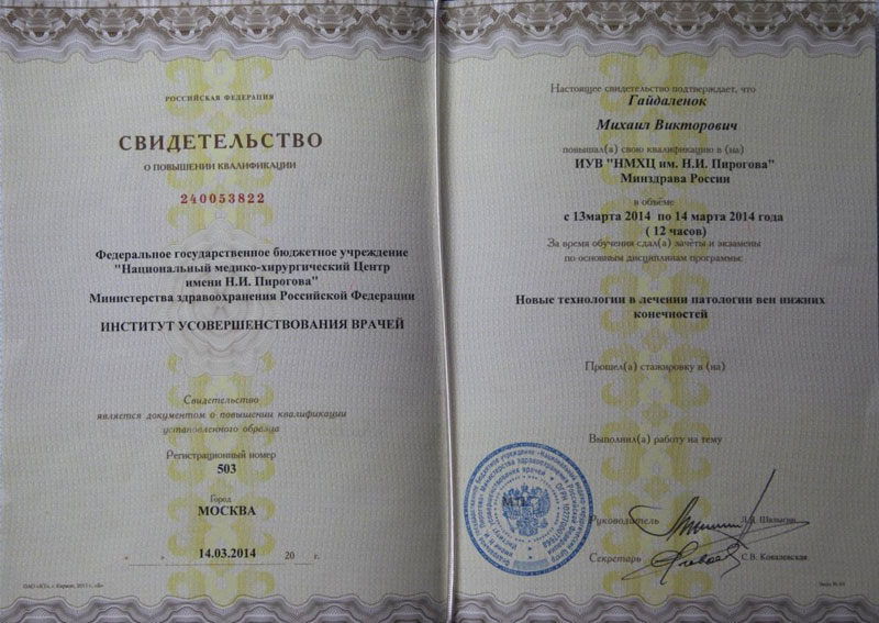 Документы Гайдаленок Михаила 