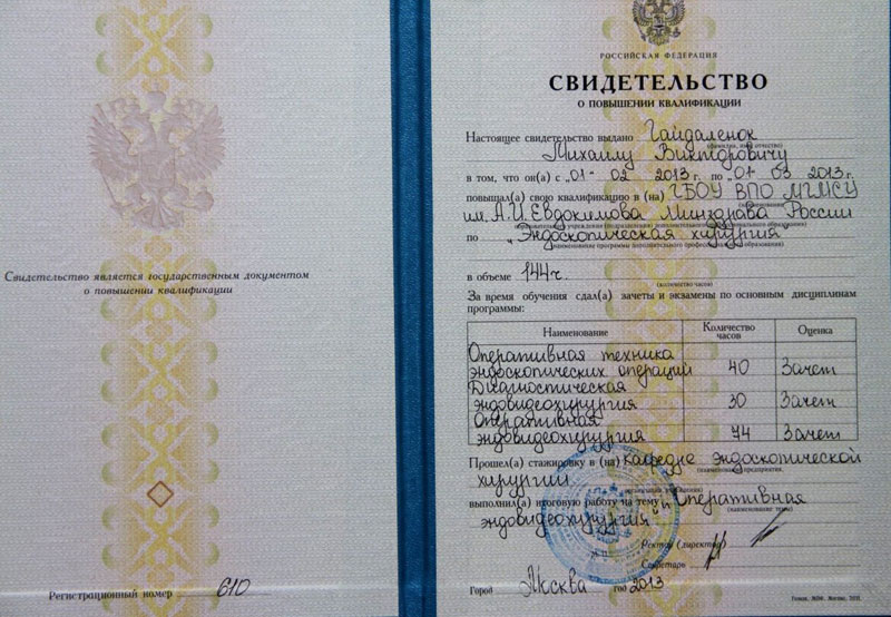 Документы Гайдаленок Михаила 