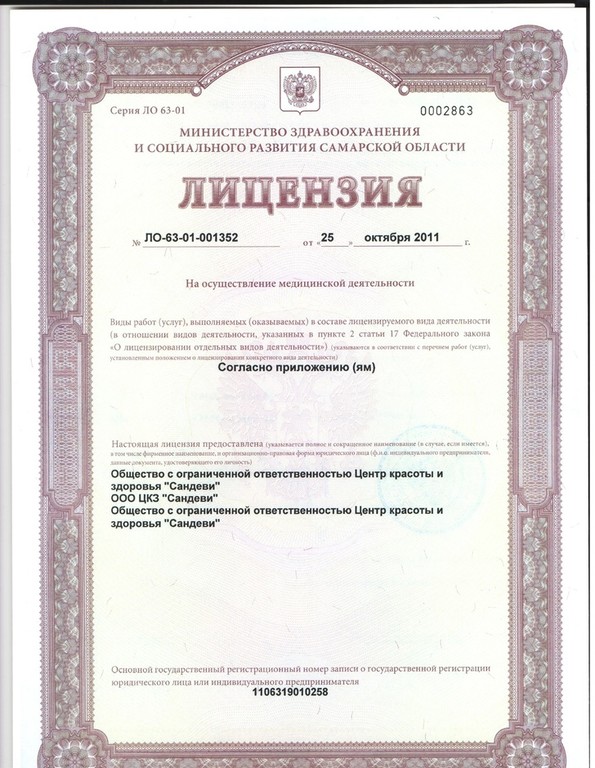 Лицензия клиники Сандеви