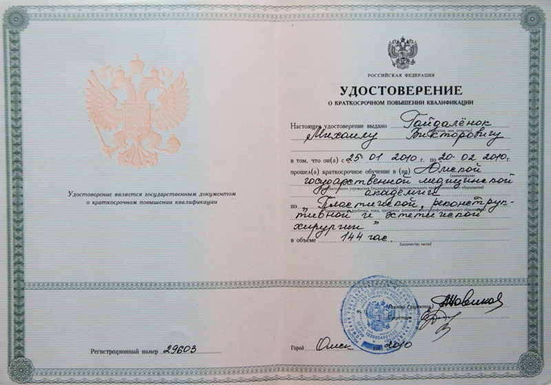Документы Гайдаленок Михаила 