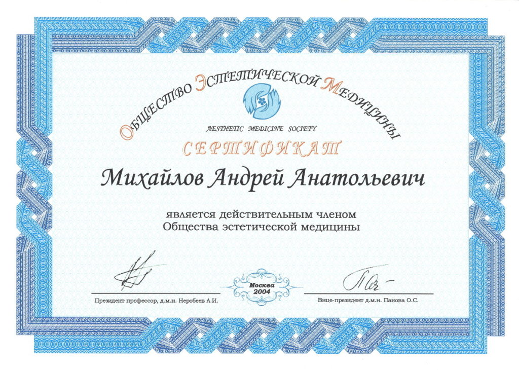 Диплом Михайлова