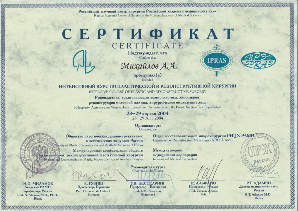 Диплом Михайлова