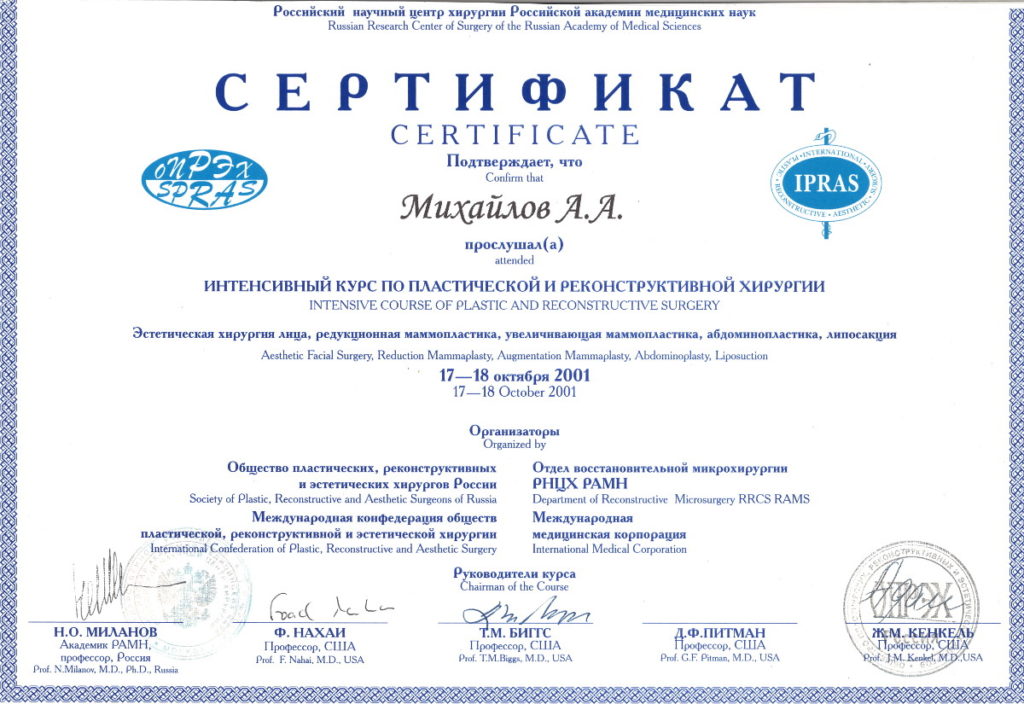 Диплом Михайлова