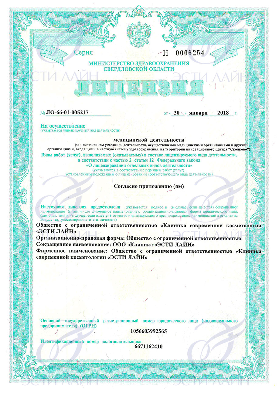 Лицензия ЭСТИ ЛАЙН