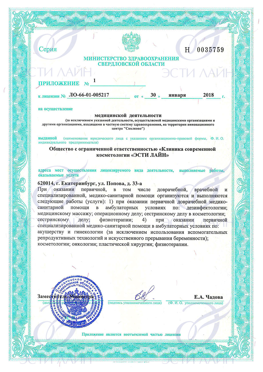 Лицензия ЭСТИ ЛАЙН