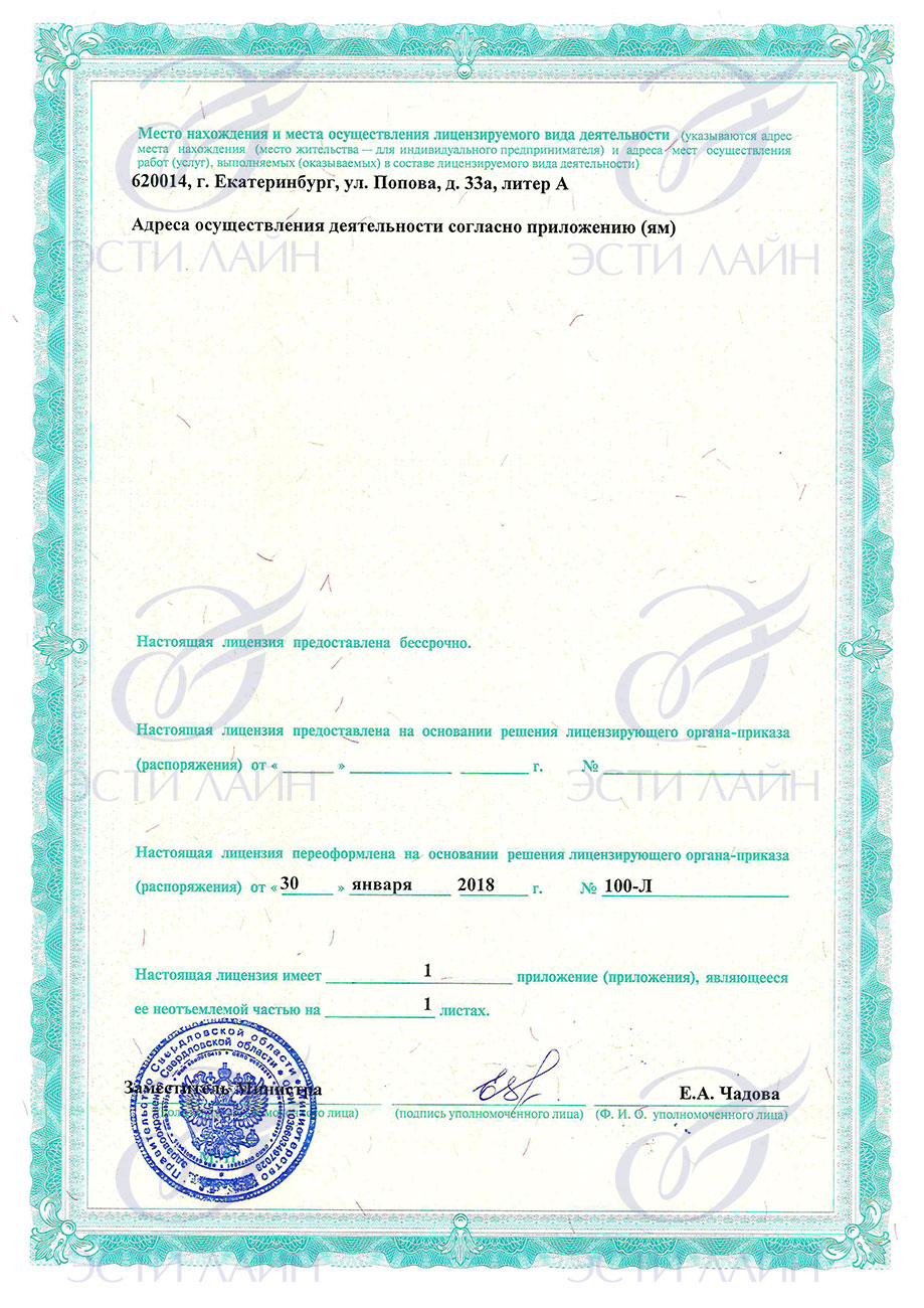 Лицензия ЭСТИ ЛАЙН